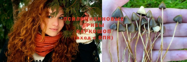 гашишное масло Алексеевка